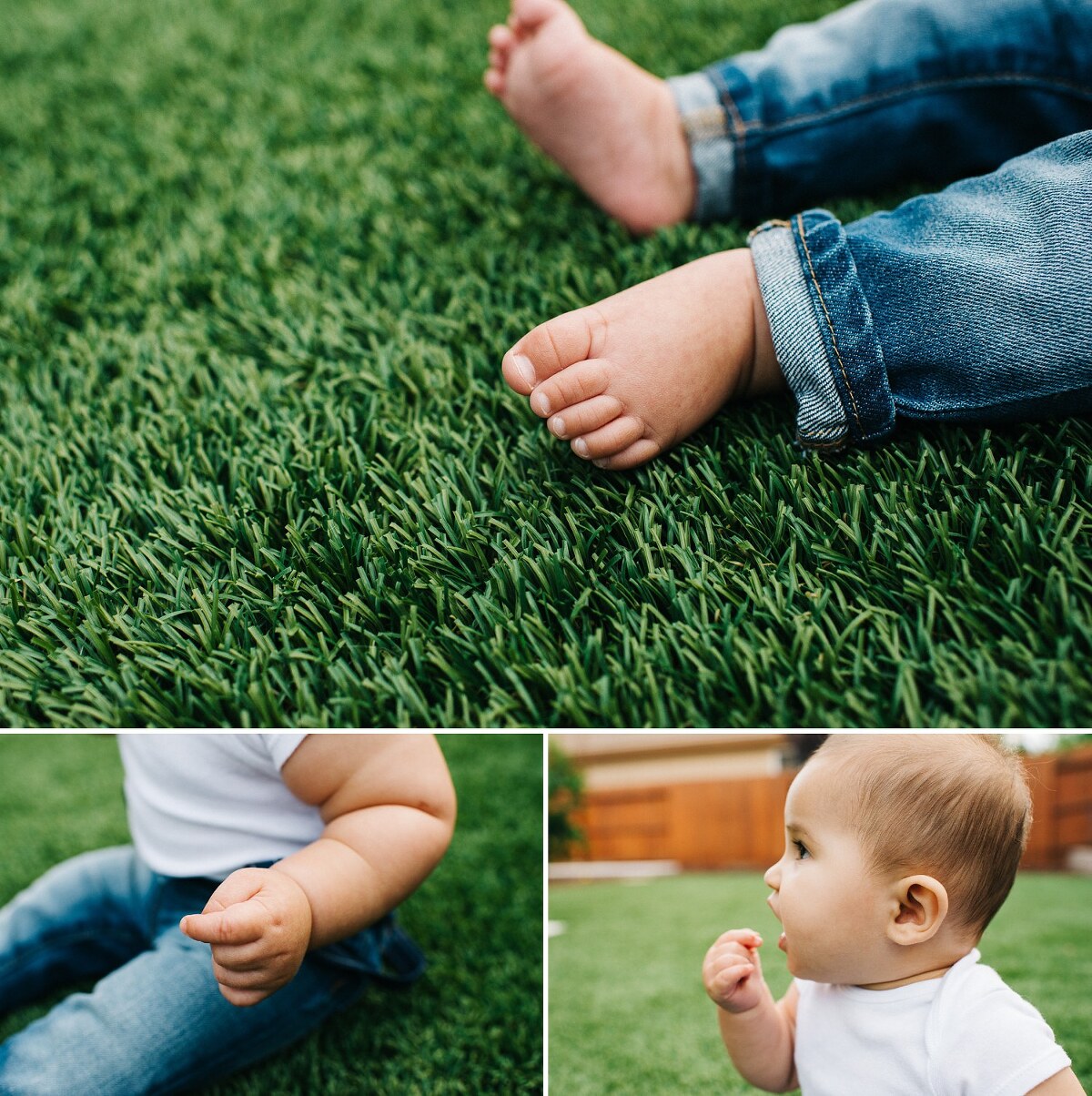 hollister family photography